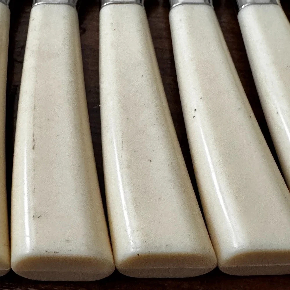 MCM‎ Vintage 10 Regent Sheffield Kitchen Knives & One fork Ivory Brown Leaf